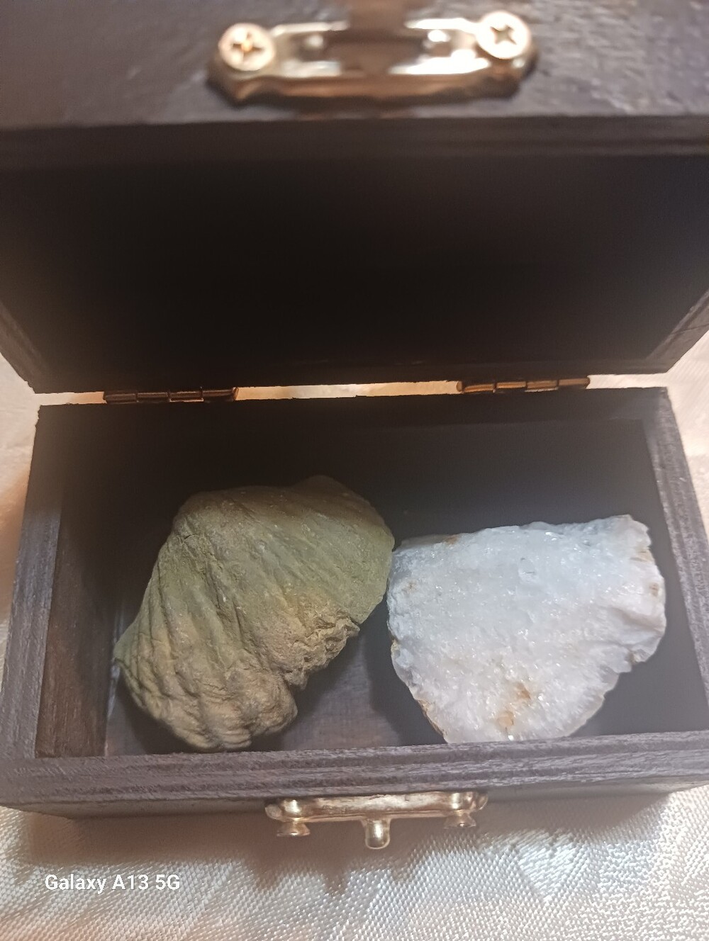 FOSSIL BOX - Picture 3 of 4